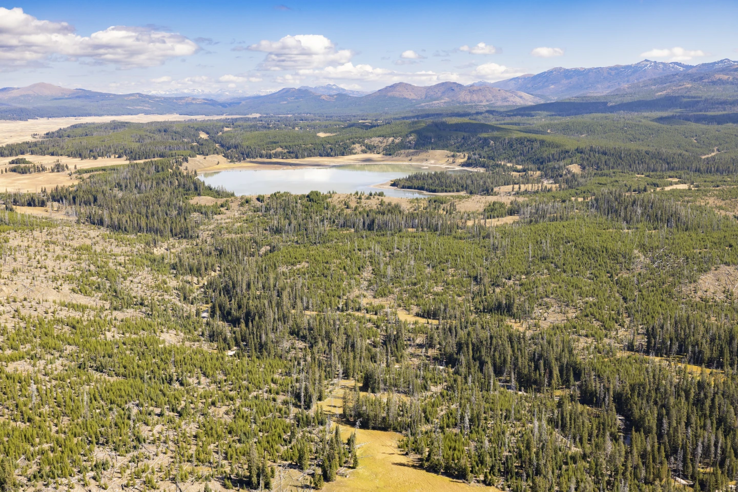 Former National Park Leaders Urge Closure Amid Shutdown Threat