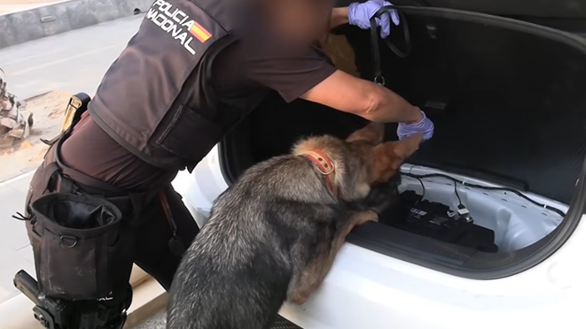 Spanish Police Arrest 78 in Massive Smuggling Network Blow