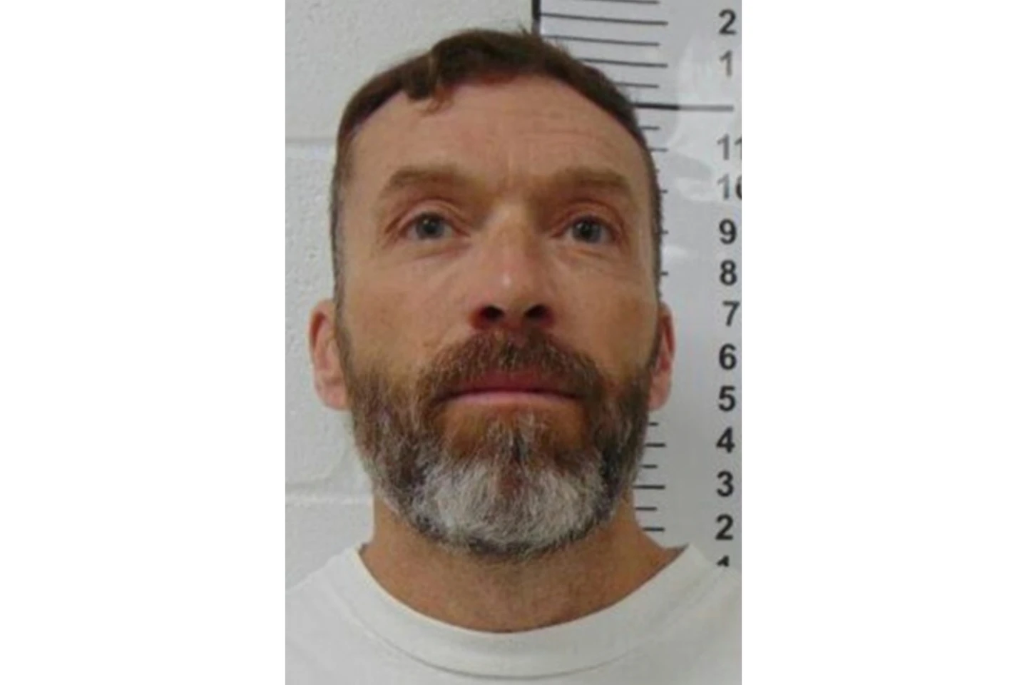 Controversial Execution Sparks Debate on Justice and Innocence