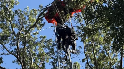 Tragic Skydiving Incident Claims Instructor's Life in Nashville