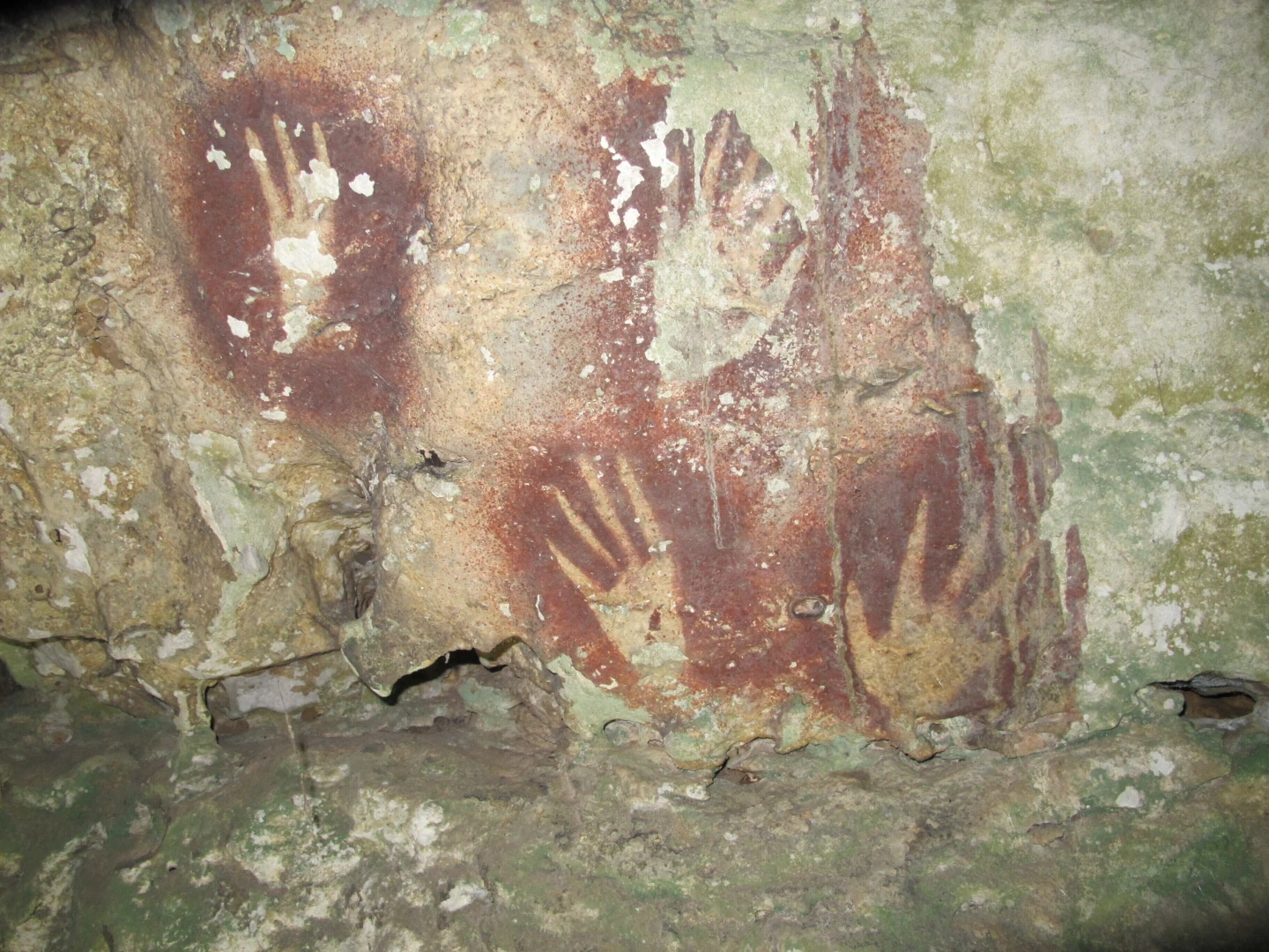 Ancient Handprints Unveiled as the Oldest Rock Art in Indonesia