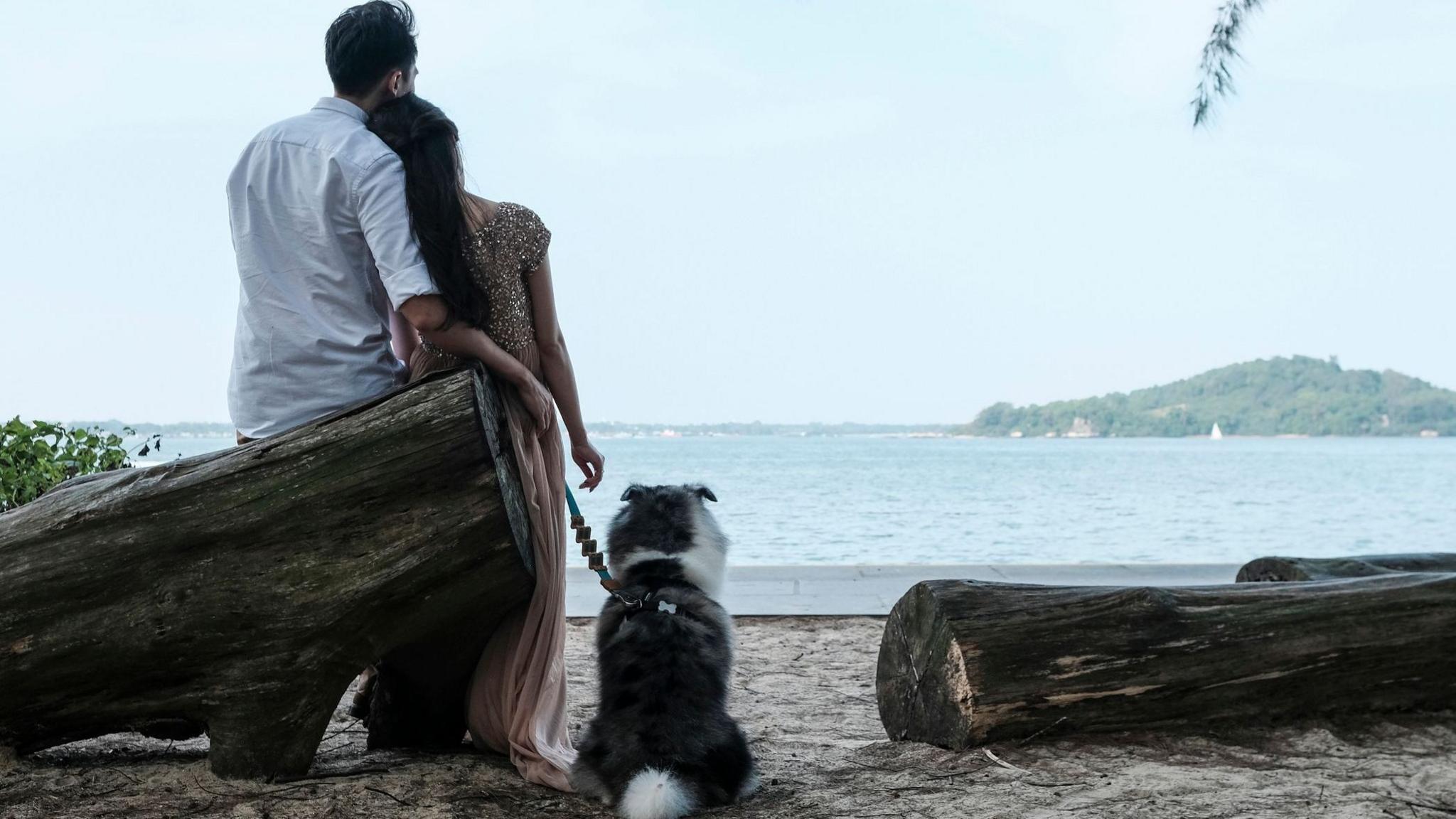 Singapore Launches FirstDate, a Government Matchmaking Experiment Aims to Boost Birthrate