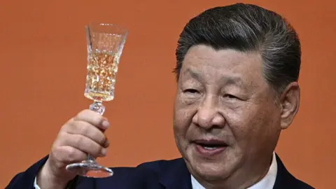 A Diplomatic Revival: Xi Jinping's Strategic Engagements with Global Leaders