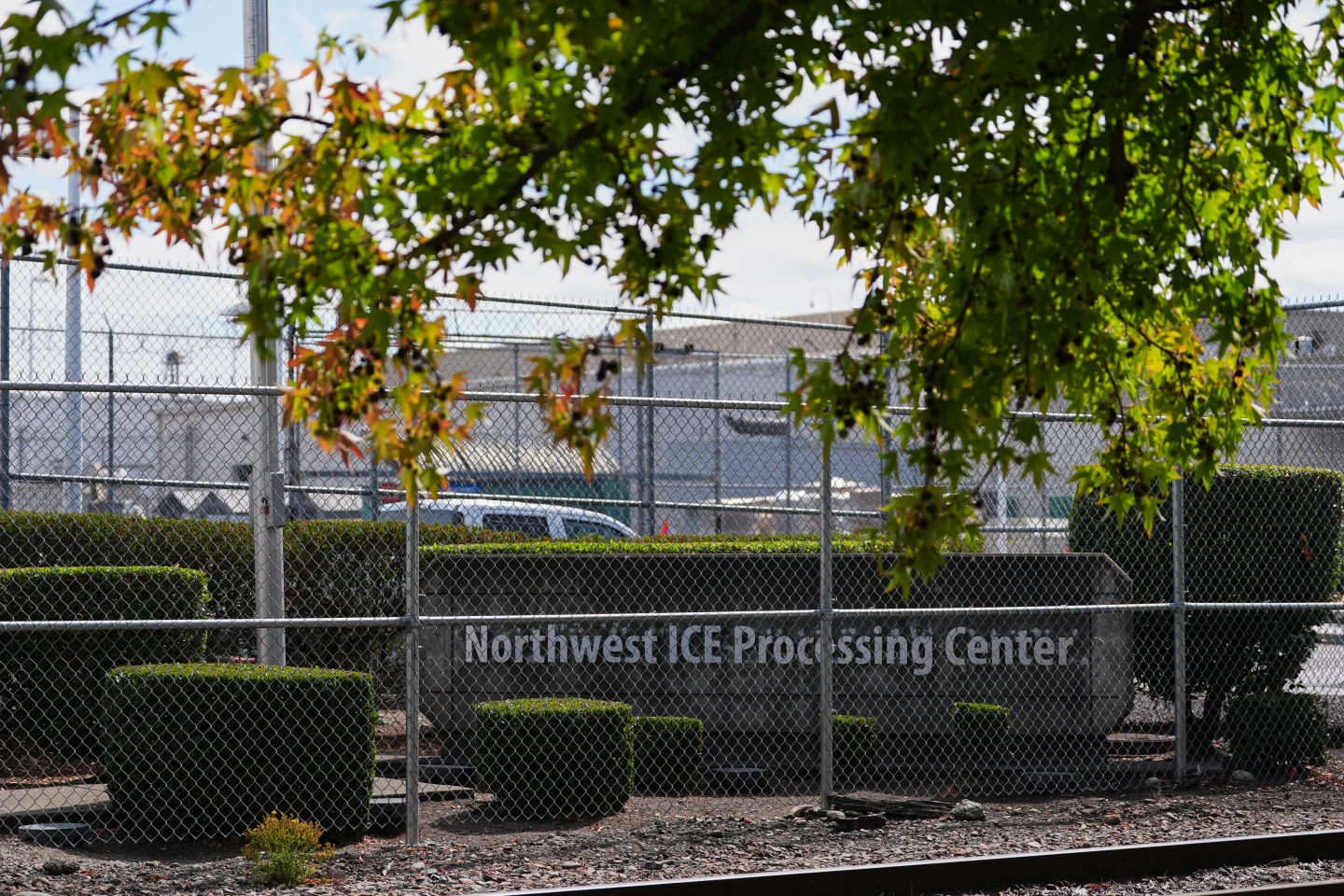 The Pain of Deportation: A Community's Loss