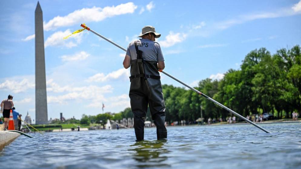 Trump Promises Immediate Repairs to The Green Reflecting Pool After Vandalism Allegations