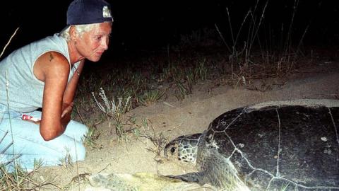 Lebanese Turtle Activist Mona Khalil Dies in Israeli Strike