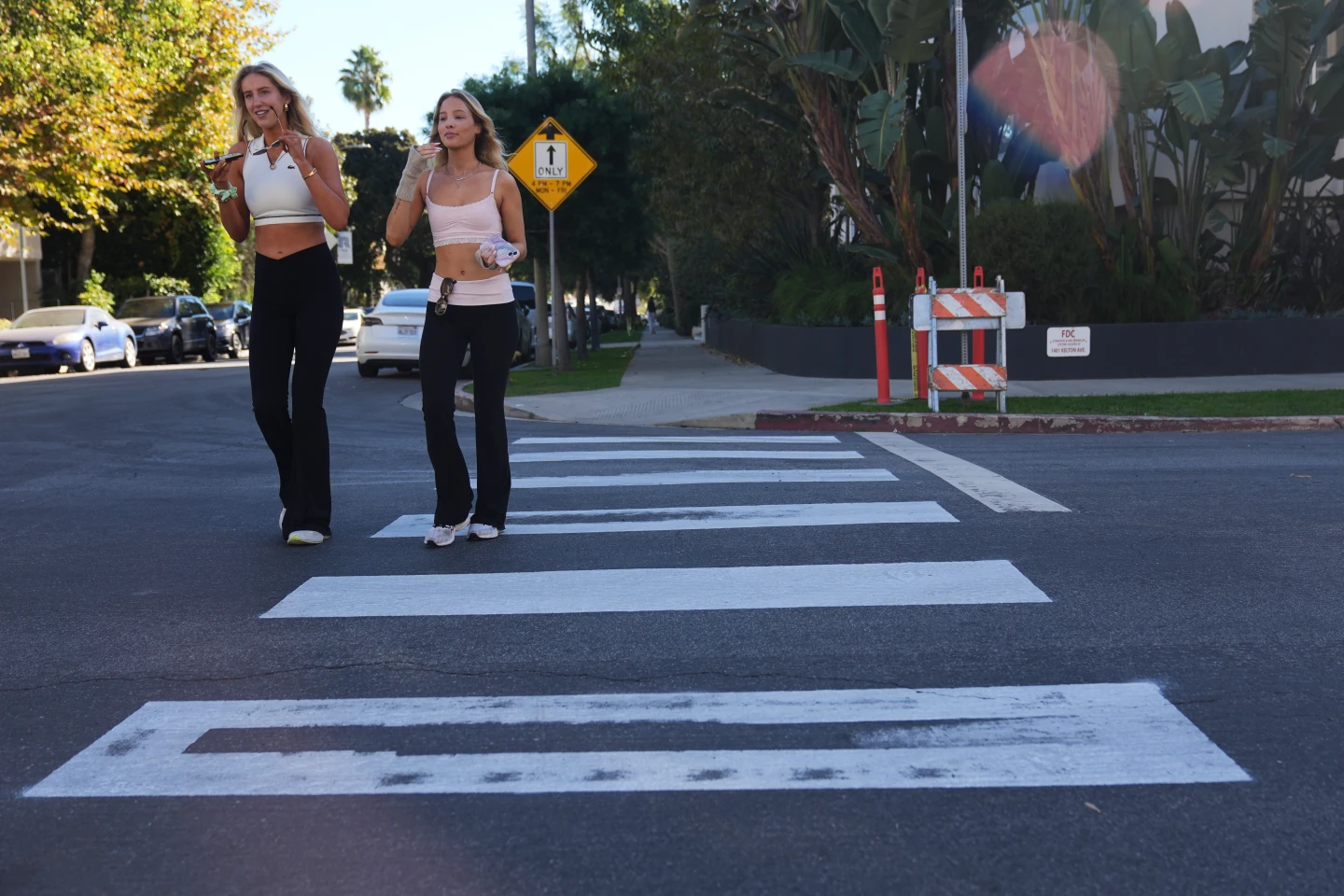 Activist Arrested for Painting Crosswalks in Los Angeles