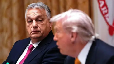 Assessing Orban's Gains and Losses from His Meeting with Trump