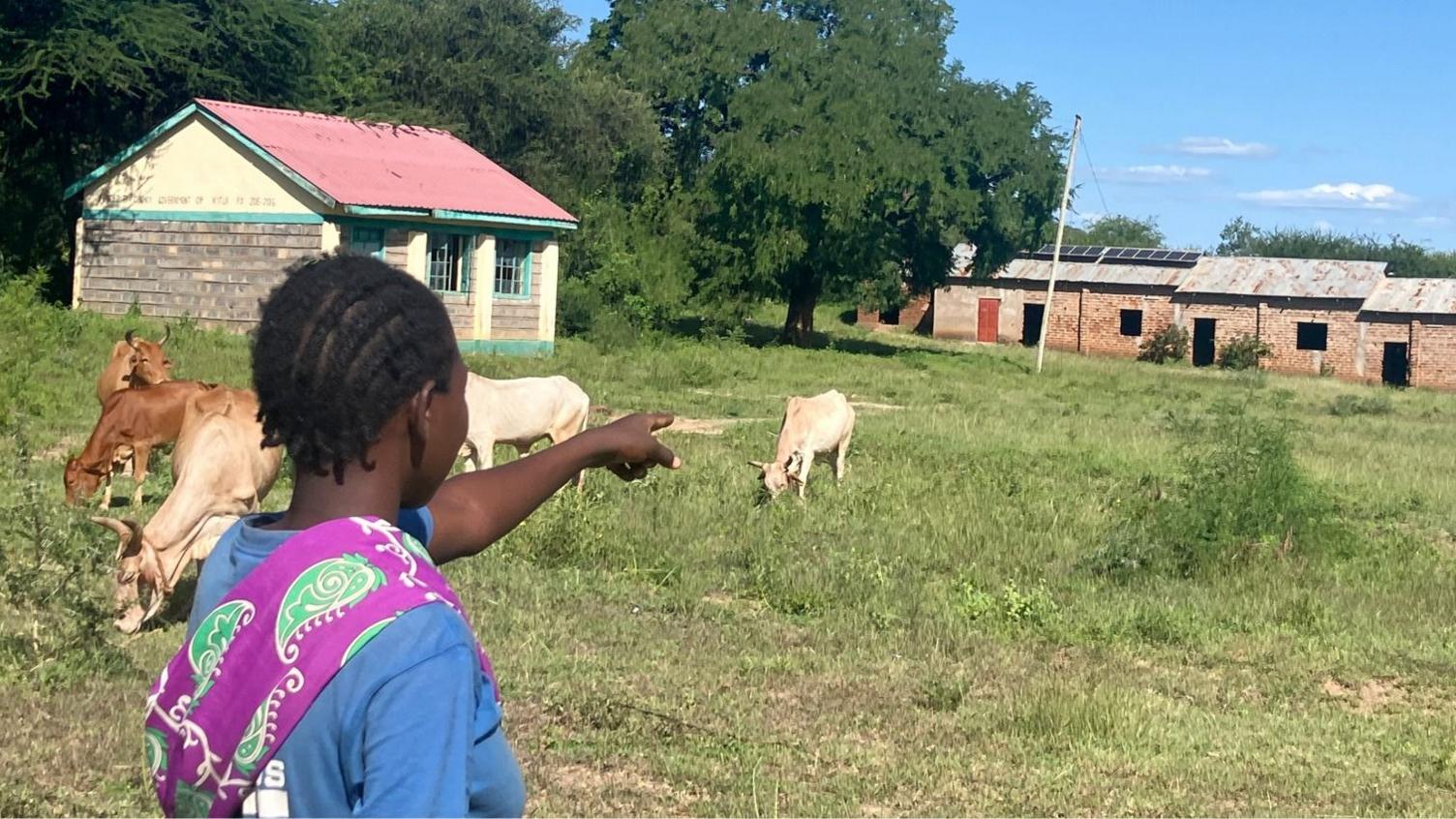 Empty Classrooms, Growing Cows: Kenya’s Rural School Crisis