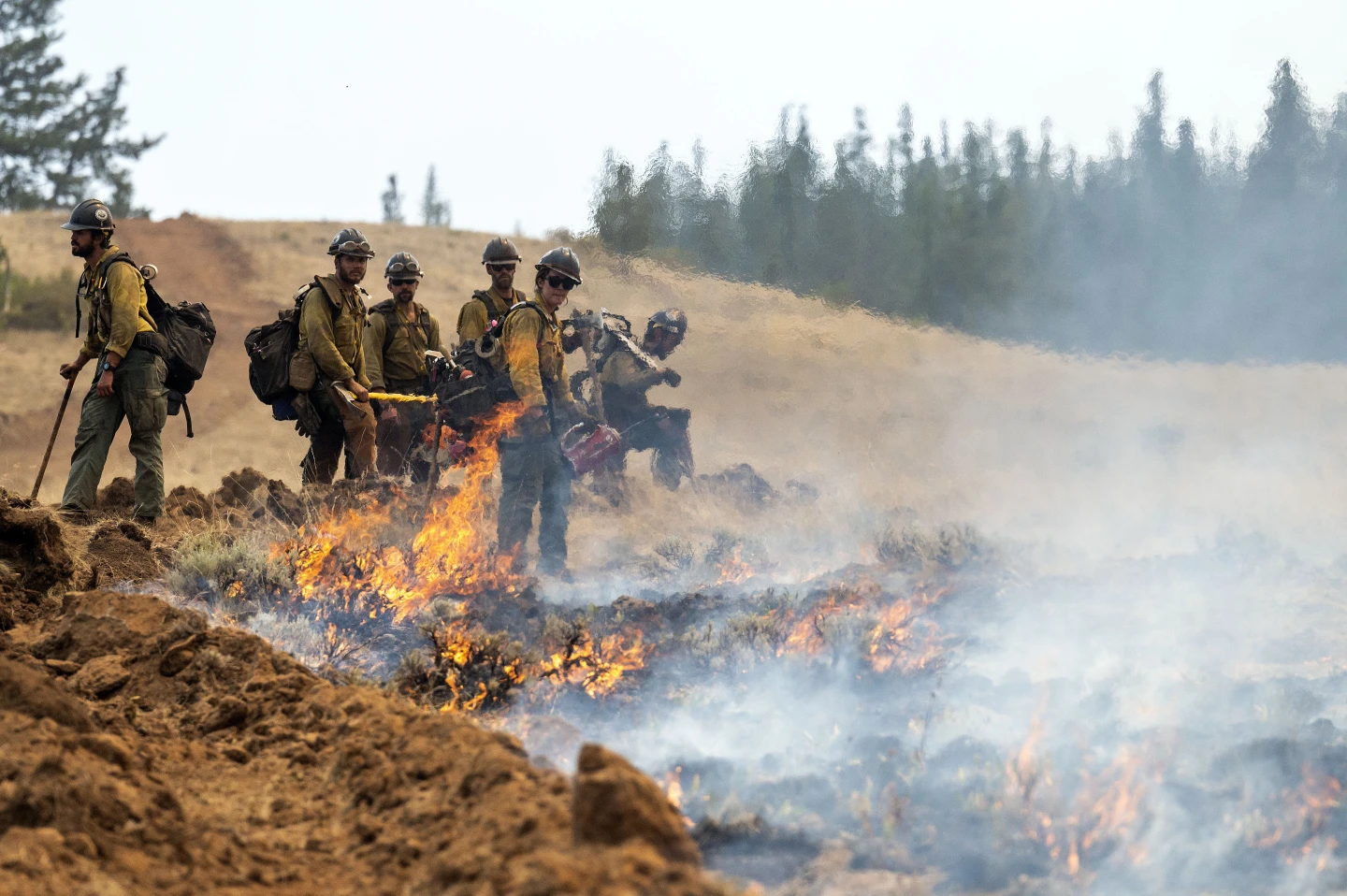 Oregon Firefighter Detained by Border Patrol While Fighting Wildfire