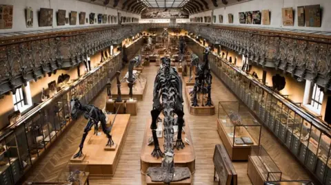 Arrest Made in Paris Museum Gold Heist: €1.5 Million Stolen