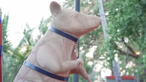 Landmine-Sniffing Hero Rat Honored in Cambodia with Unique Statue