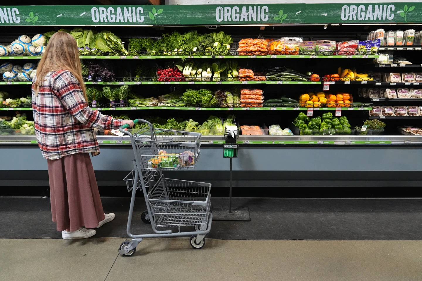 SNAP Benefits Cut Amid Ongoing Government Shutdown: A Crisis for Millions