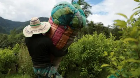 US Declares Colombia as Non-Compliant in Drug War Efforts
